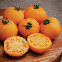 Tomato Bendida F1 Seed