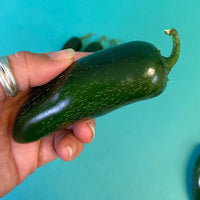 Pepper Black Magic F1 Organic Seed