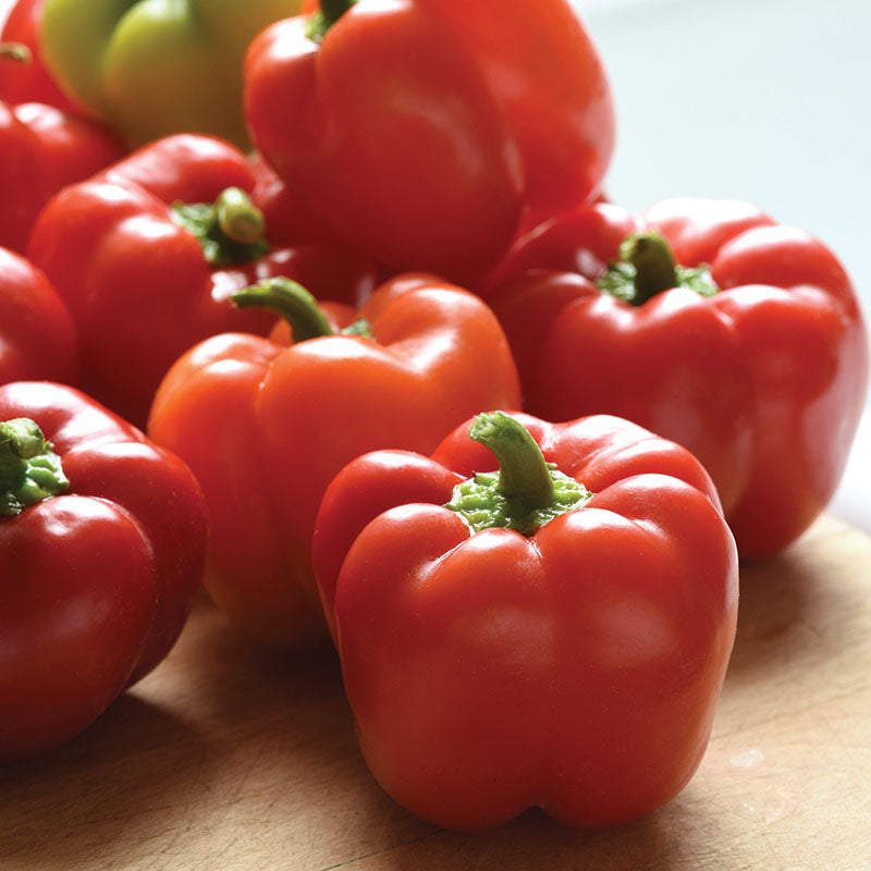 Pepper Prism F1 Seed