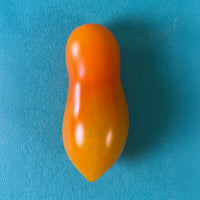 Tomato Sun Dipper F1 Seed