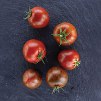 Tomato Purple Zebra F1 Seed