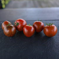 Tomato Purple Zebra F1 Seed