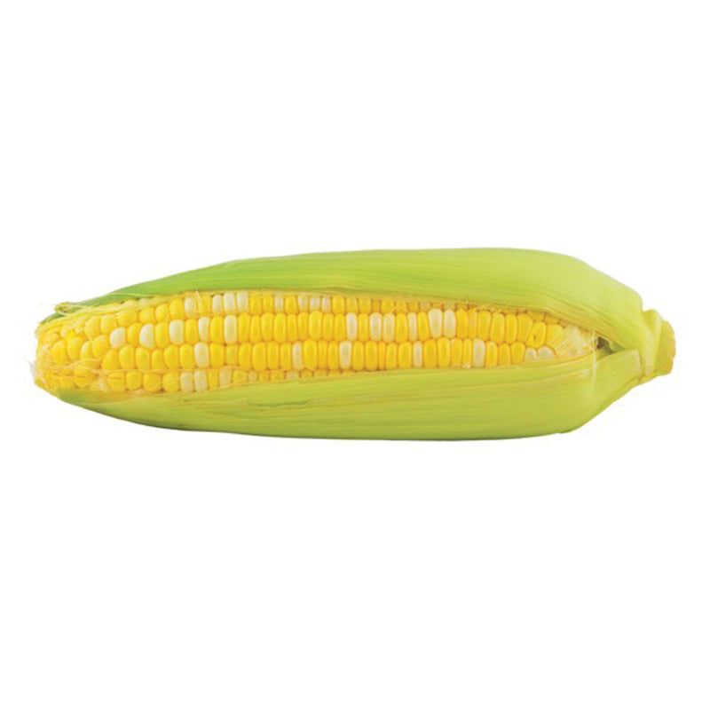 Sweet Corn EX08767143 F1 Seed