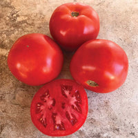 Tomato STM 2255 F1 Seed
