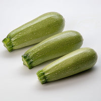 Squash Mexicana F1 Organic Seed