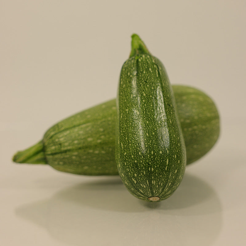 Squash Mexicana F1 Organic Seed