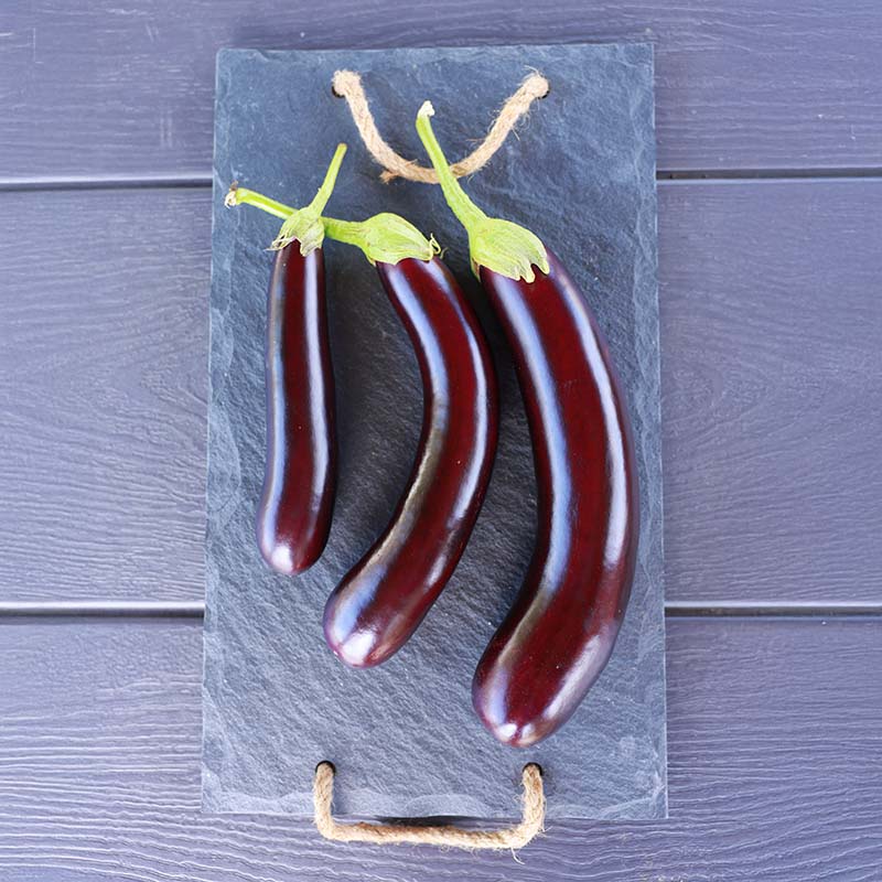 Eggplant Turkish Delite F1 Organic Seed