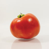 Tomato Maverick F1 Seed