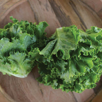 Lettuce Hulk Seed