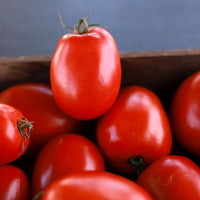 Tomato Inca F1 Seed