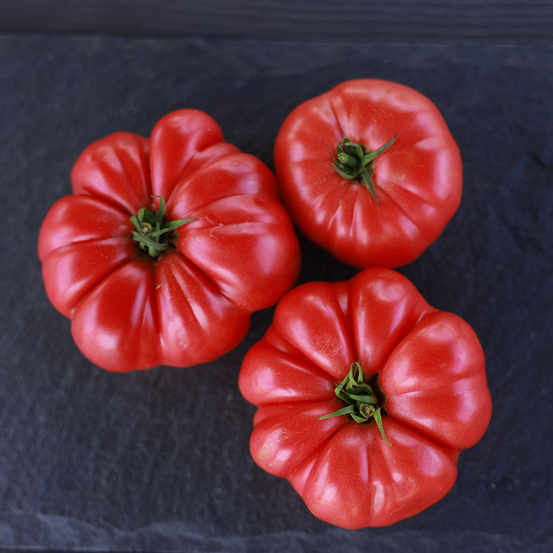 Tomato BlushingStar F1 Seed