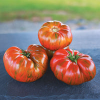 Tomato Beefy Purple Seed