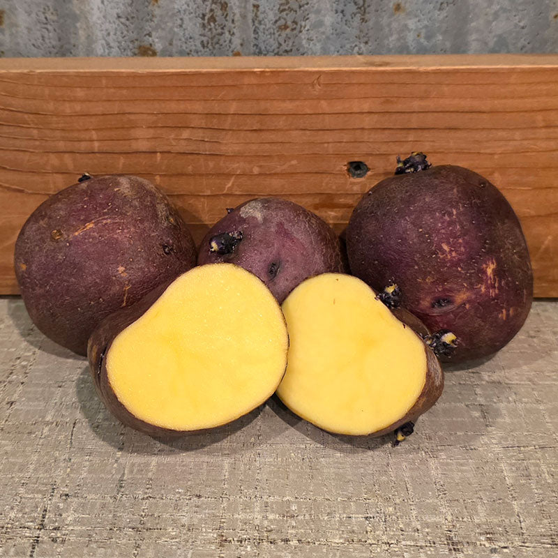Potato Huckleberry Gold