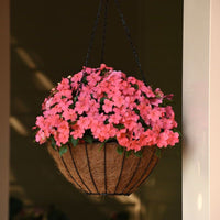 Impatiens Beacon Coral Seed