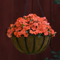 Impatiens Beacon Salmon Seed