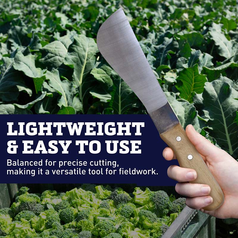 Broccoli Knife Carbon Steel Blade Wood Handle
