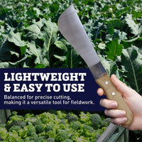 Broccoli Knife Carbon Steel Blade Wood Handle