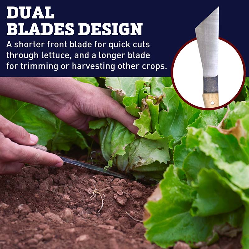 Lettuce Knife Carbon Steel Blade Wood Handle