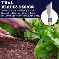 Lettuce Knife Carbon Steel Blade Wood Handle