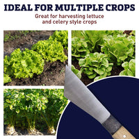 Lettuce Knife Carbon Steel Blade Wood Handle