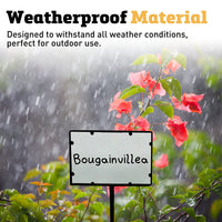25 Blank Waterproof Sign Cards 11" x 7"