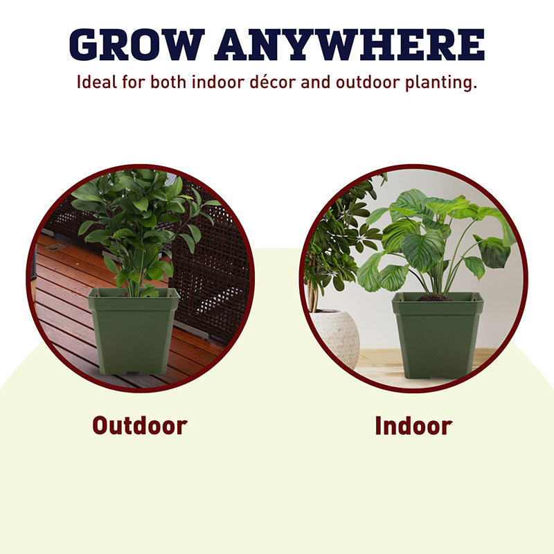 Dillen 4" Square Pot