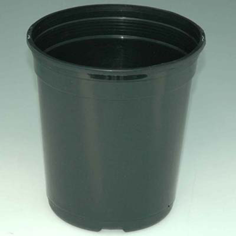 Perennial Pots 1 Qt.