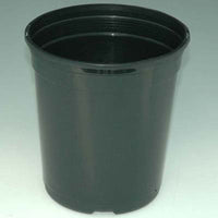Perennial Pots 1 Qt.