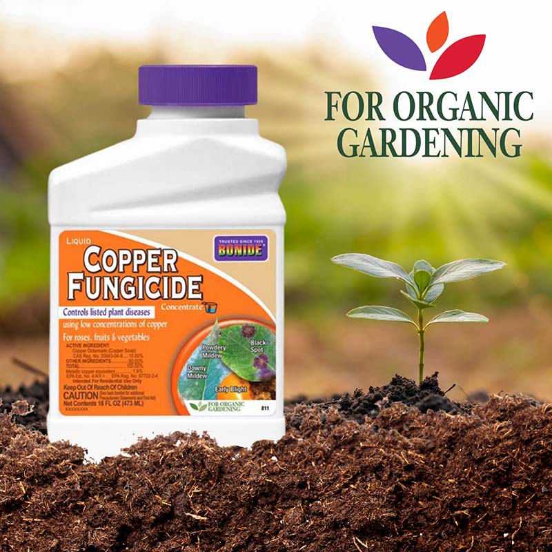 Bonide Liquid Copper Fungicide 16 oz. Concentrate