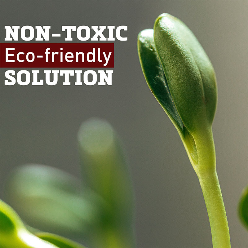 Plant Protection Bag