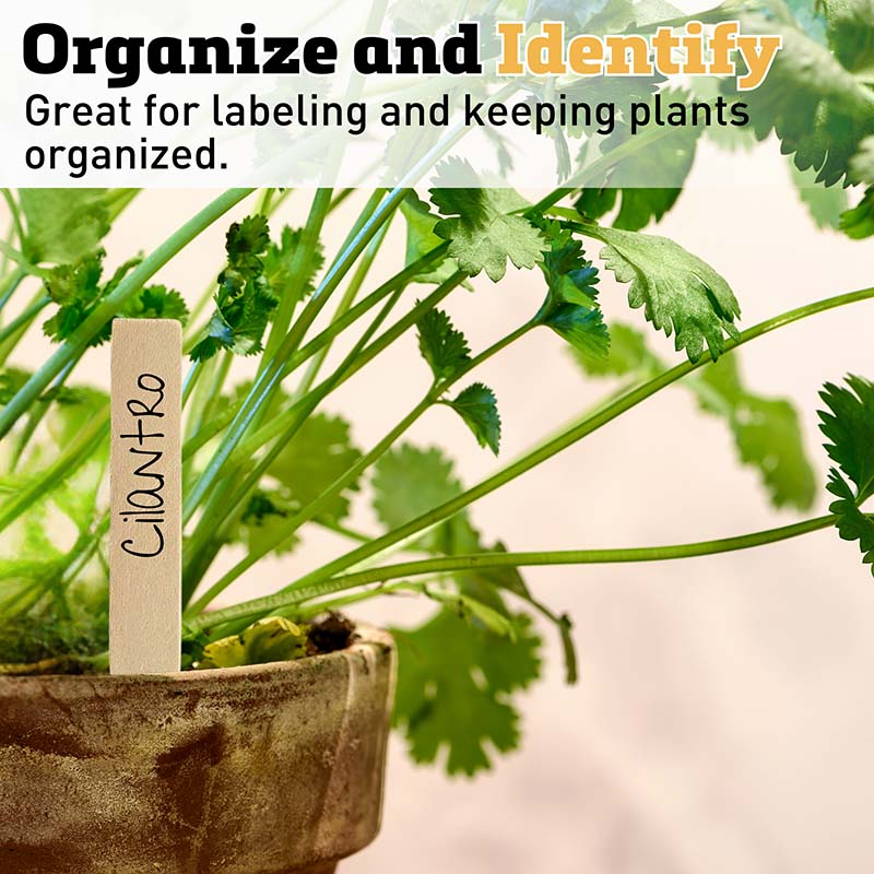 Labels 6" Wood