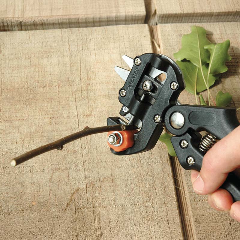 Grafting Tool