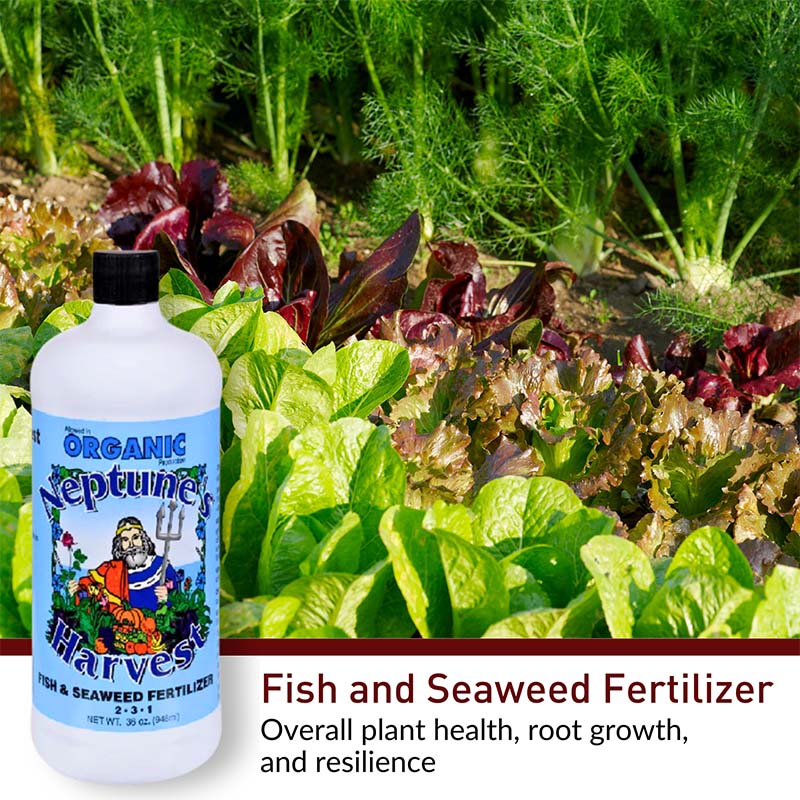 Neptune's Harvest Organic Fish and Seaweed Fertilizer
