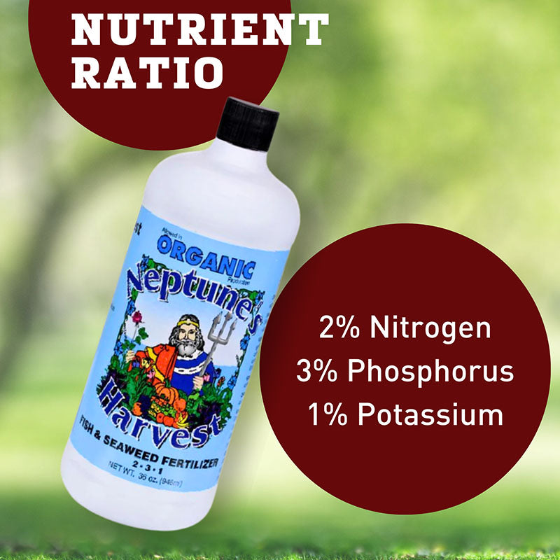 Neptune's Harvest Organic Fish and Seaweed Fertilizer