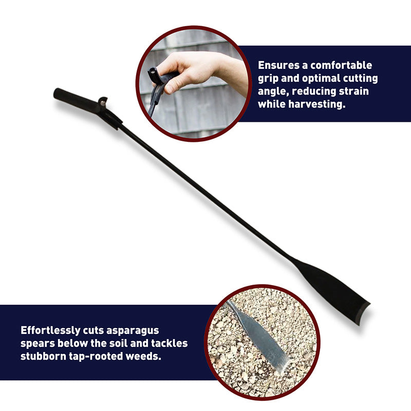 Asparagus Knife