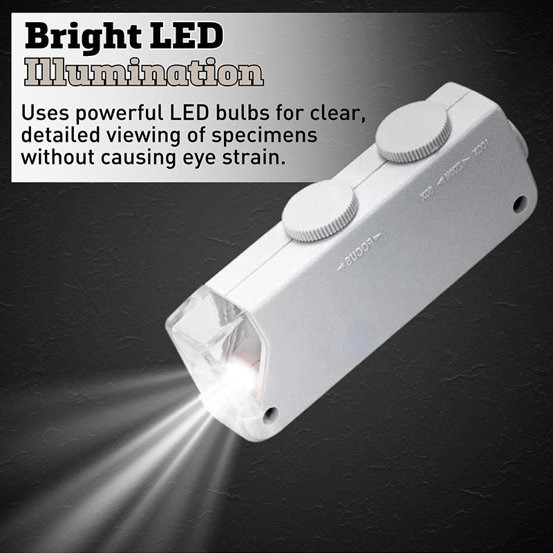 Insecticide Active Eye Microscope