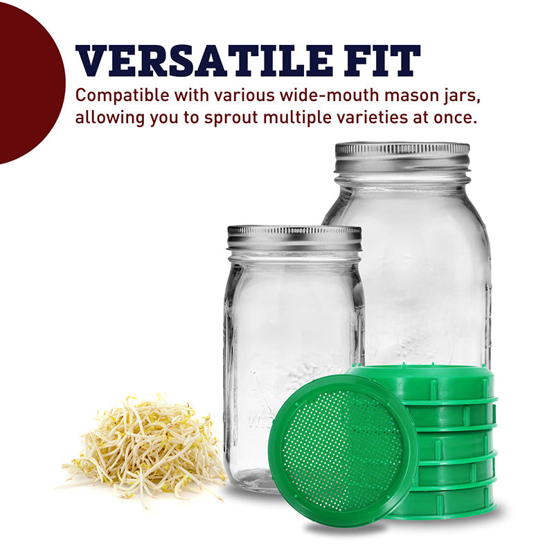 Mason Jar Sprouting Lid