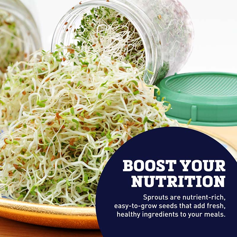 Mason Jar Sprouting Lid