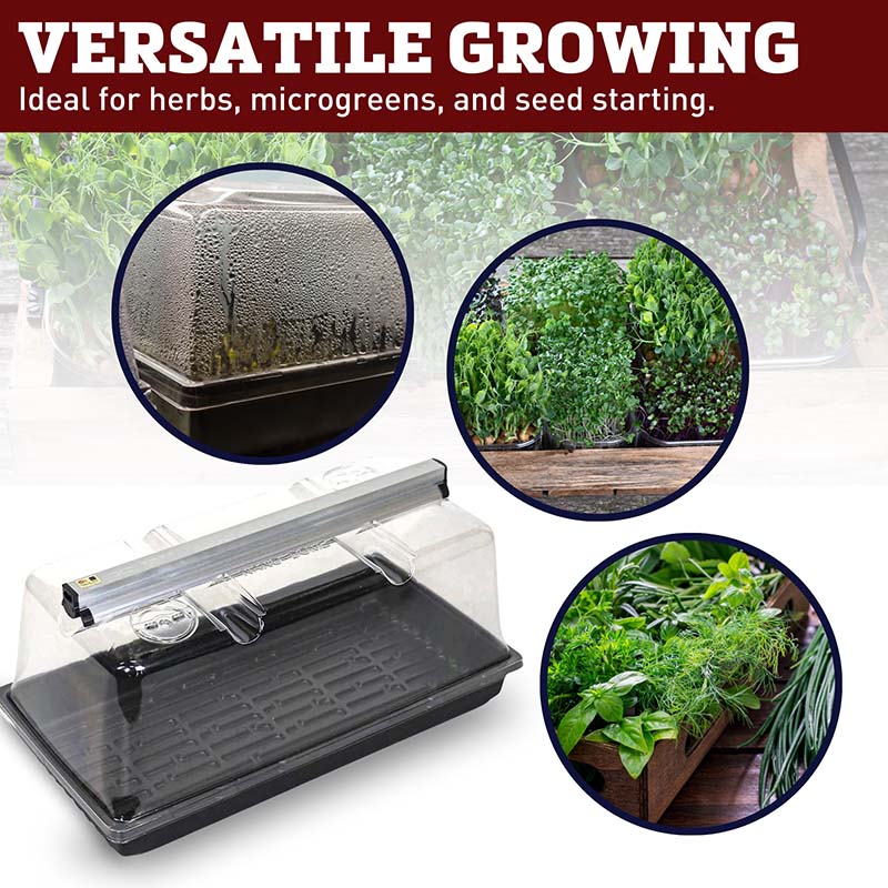 SunBlaster Mini Greenhouse Kit