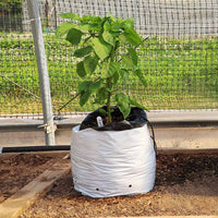 Grow Bags 5 Gallon