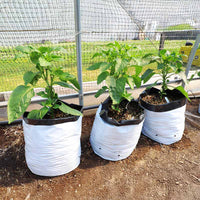 Grow Bags 5 Gallon