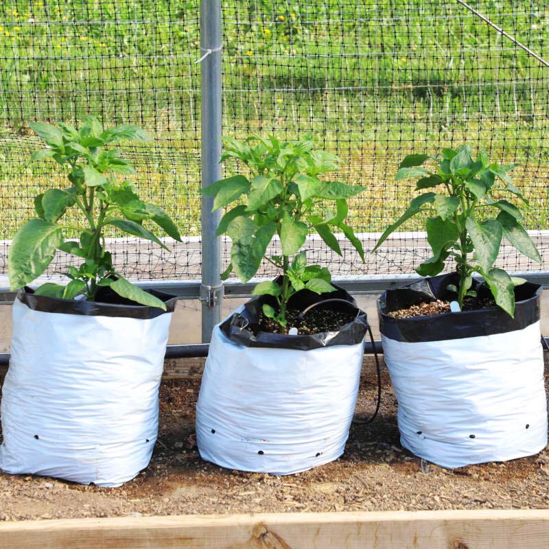Grow Bags 5 Gallon