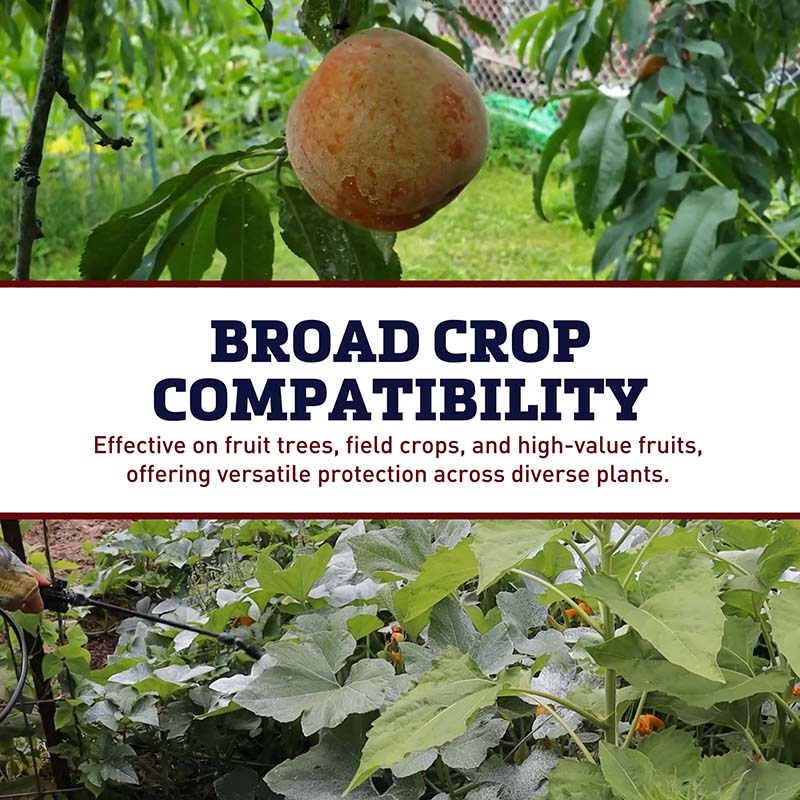 Surround WP Organic Crop Protectant 25 lb.
