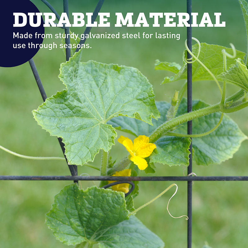 Cucumber Support Trellis