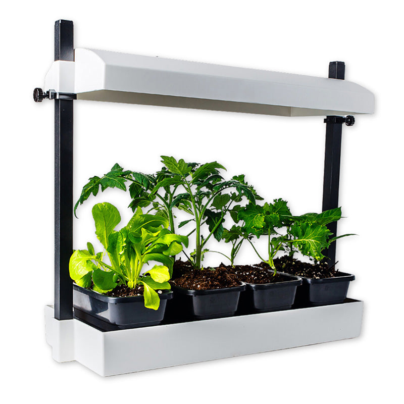 SunBlaster Micro Grow Light Garden - White