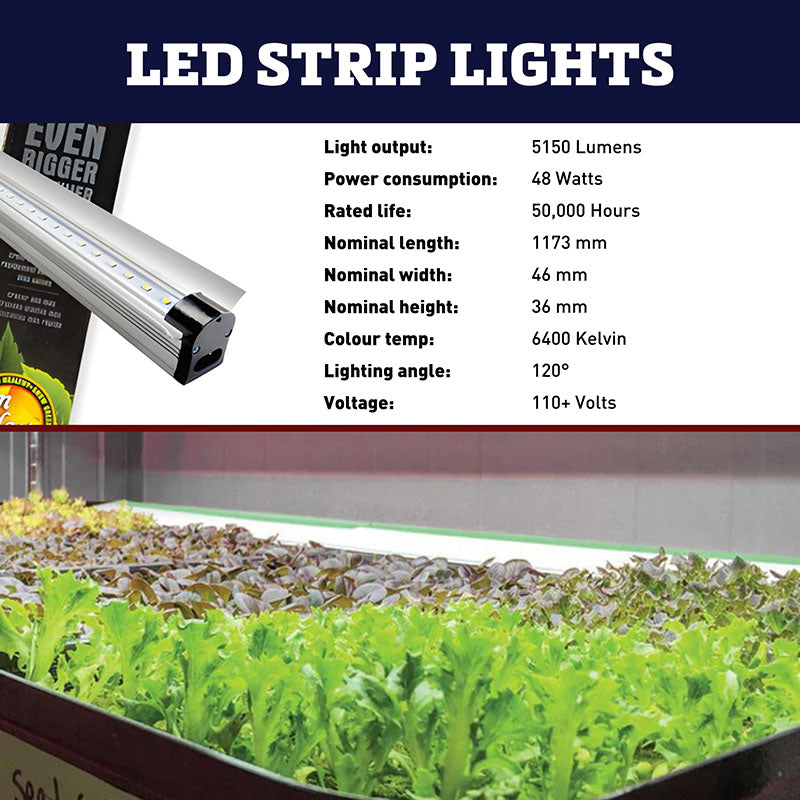 SunBlaster 4' LED Light Strip 6400K