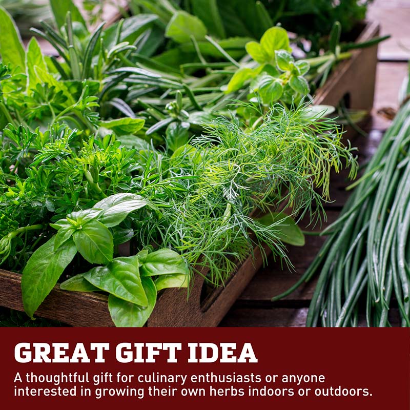 Grow Gardens Grow Herbs Kit