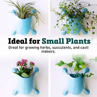 Livi Pot Aqua