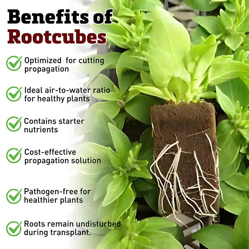 Oasis Rootcubes® Grow Cubes 104ct Sheet