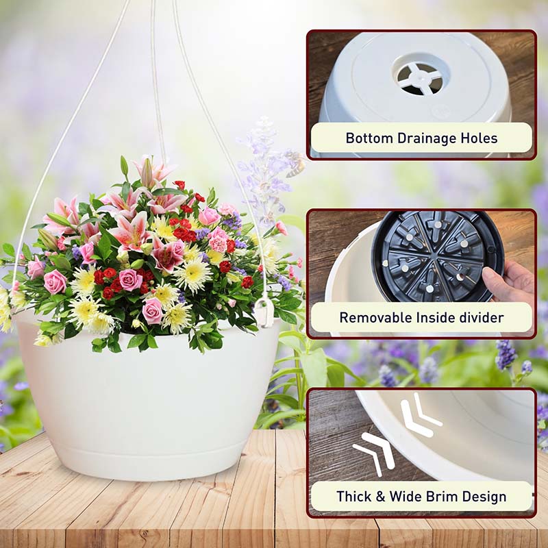 Saucerless Grower Baskets for Hanging Baskets (50)